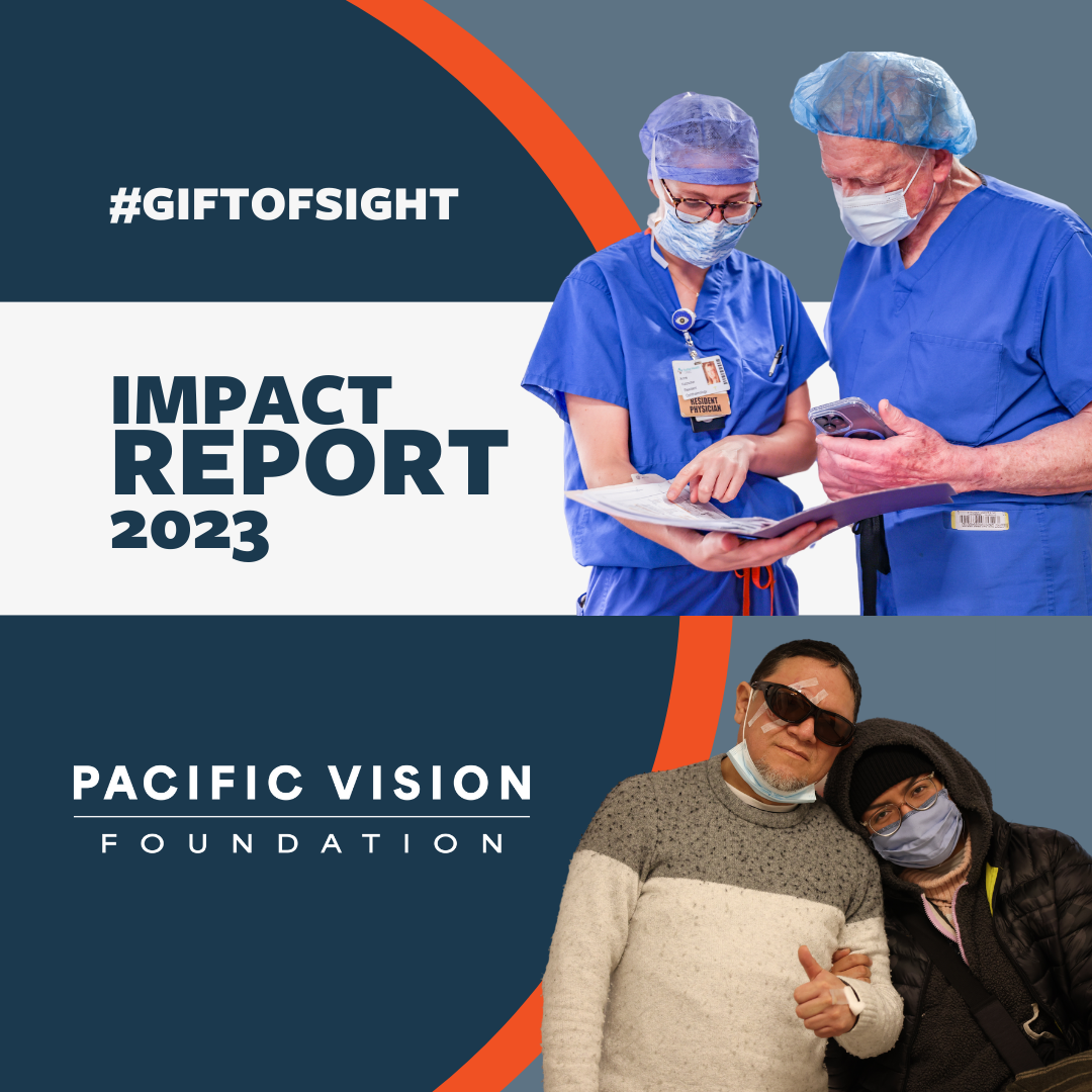 Empowering Sight: Our 2023 Impact Report